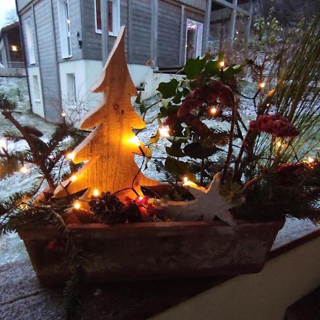 Chalet Des Pierres Opalines Xonrupt-Longemer Eksteriør billede